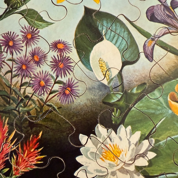 Vintage 1966 Springbok Puzzle Wild Flowers Approx. 60 Lg Pieces By Maynard Reece - Picture 8 of 15